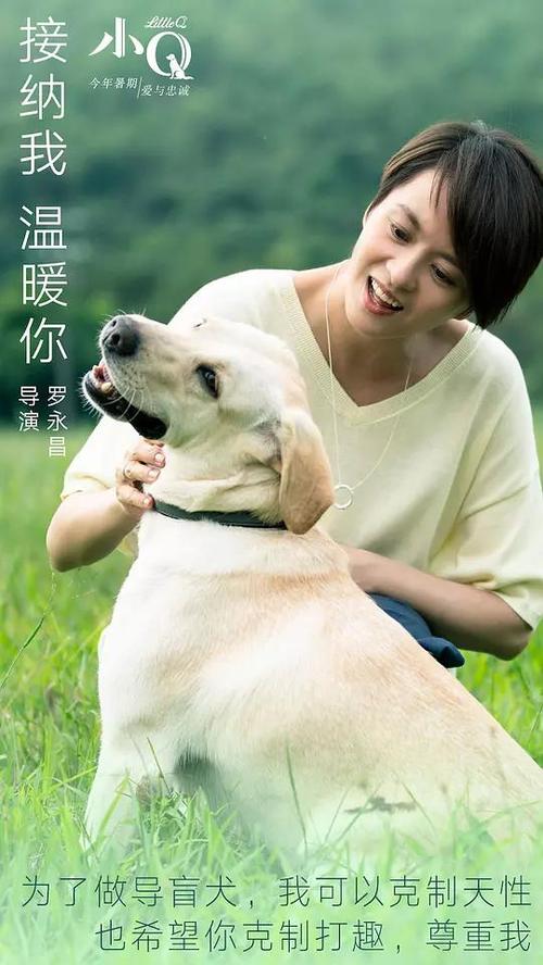 不限制学历和专业的证书